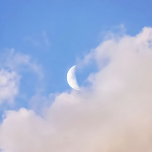 青少年小伙子日逼
