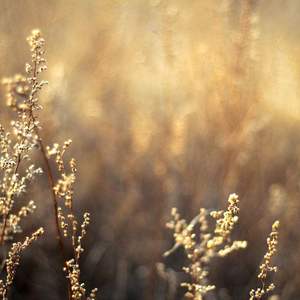 青少年小伙子日逼
