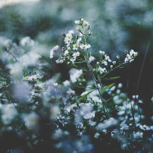 青少年小伙子日逼
